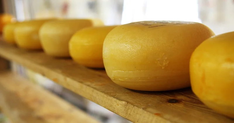 What is the 2 2 2 food rule?